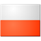 Wojtasik/Gruszczynska flag